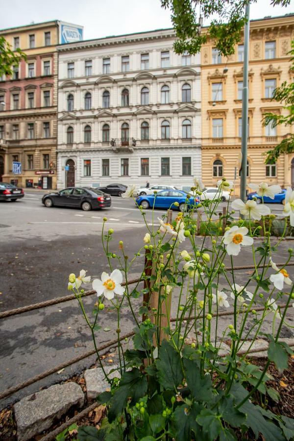 Open Gate Apartment Praha Bagian luar foto